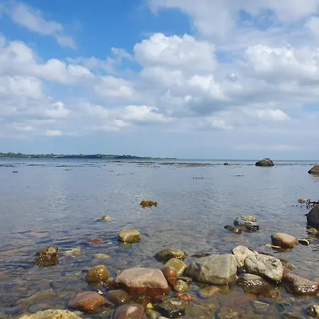8 Person In Aabenraa Loddenhoj