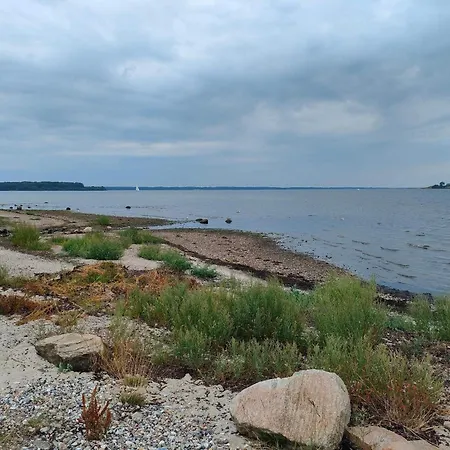 8 Person In Aabenraa Loddenhoj