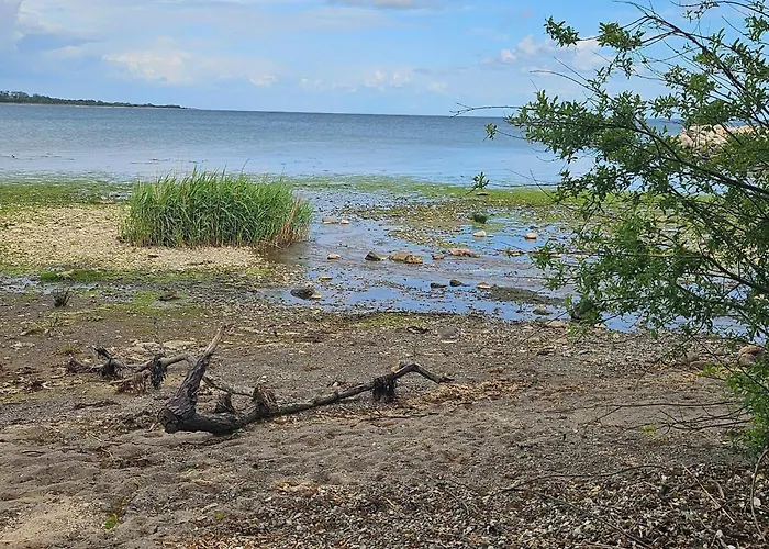 8 Person In Aabenraa * Loddenhoj