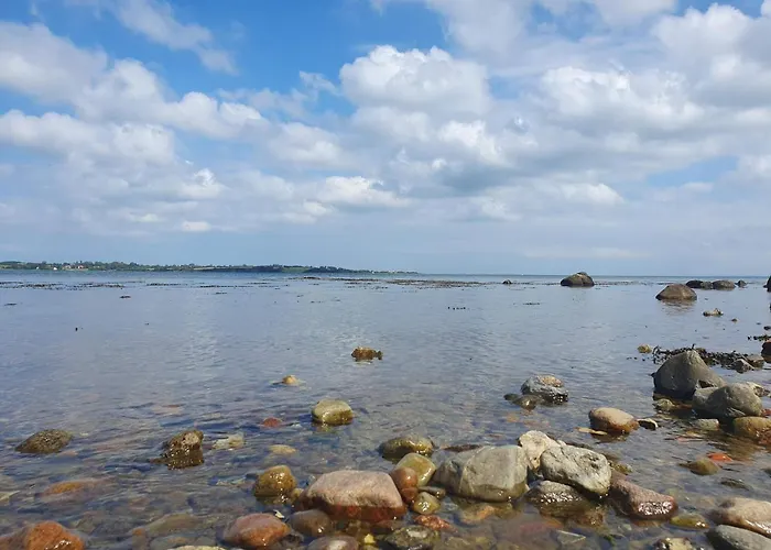 8 Person In Aabenraa Loddenhoj